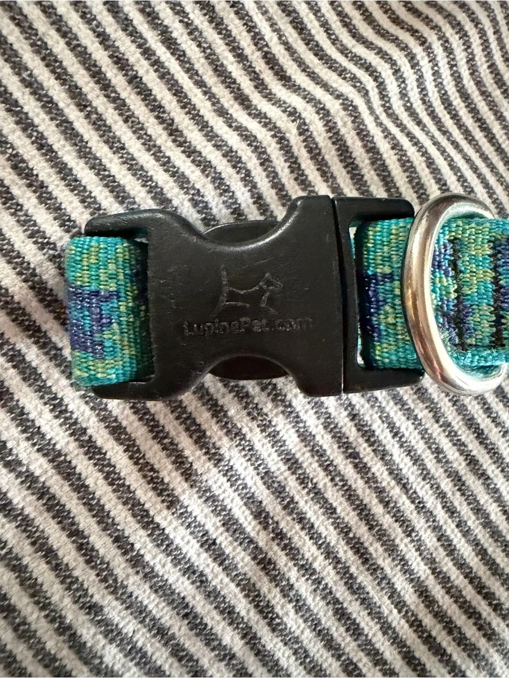Kong Teal Dog Leash and Lupine Collar